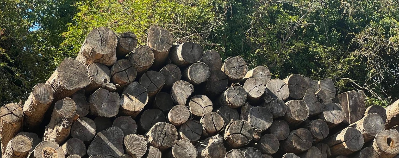 Managed woodland — sustainably sourced timber